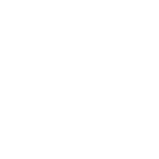 Security PIN